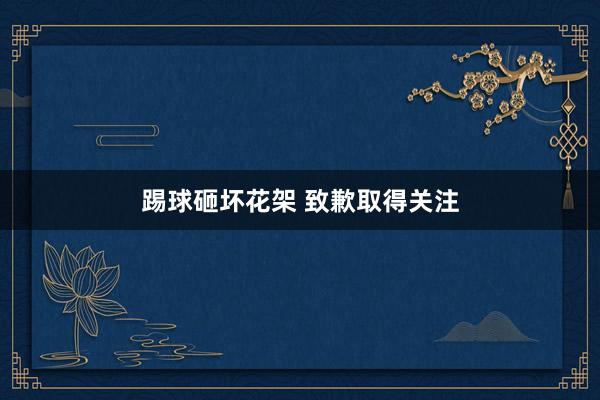 踢球砸坏花架 致歉取得关注